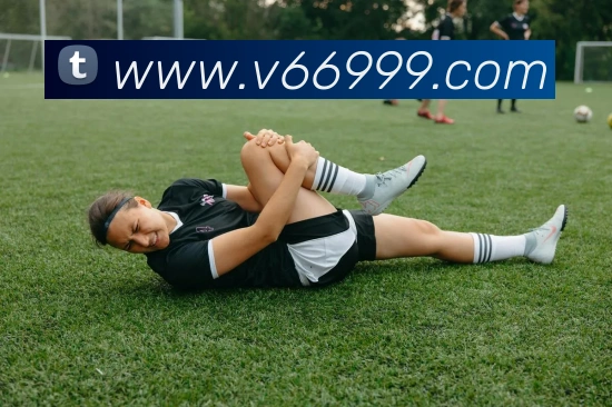 V66体育全站App V66体育全站App